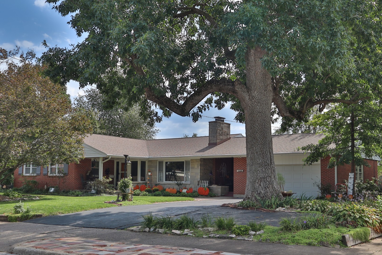 2330 Oak Street Property Photo 1
