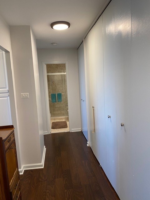 6833 N Kedzie Avenue 914 Property Photo 15