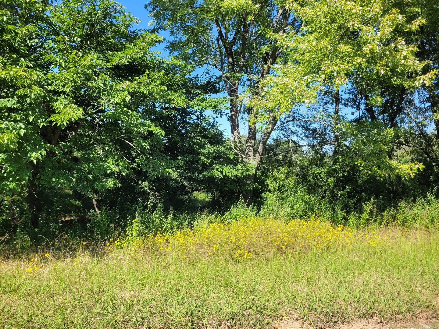 0000 E Bunny Farm Road Property Photo 1