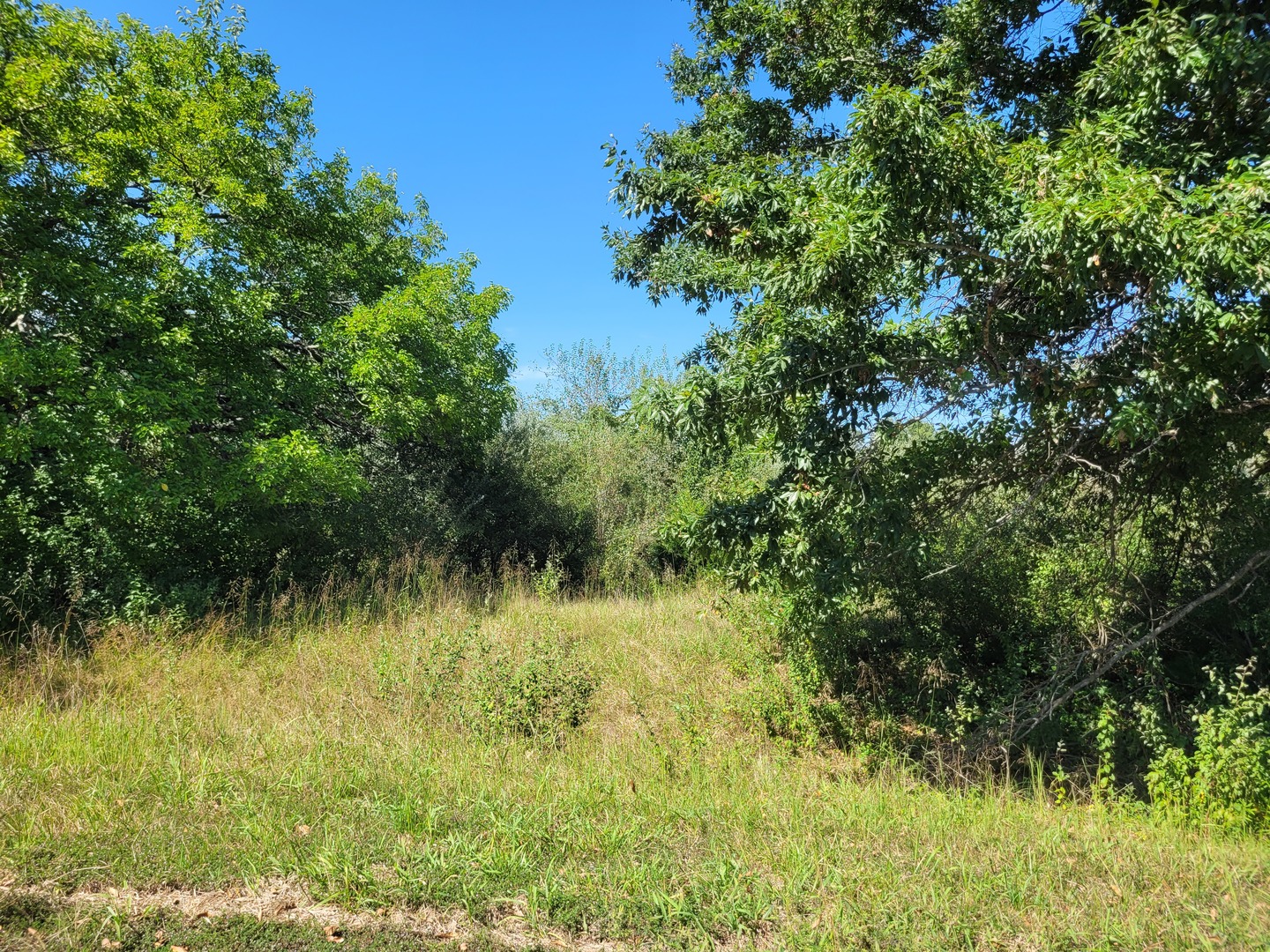 0000 E Bunny Farm Road Property Photo 2