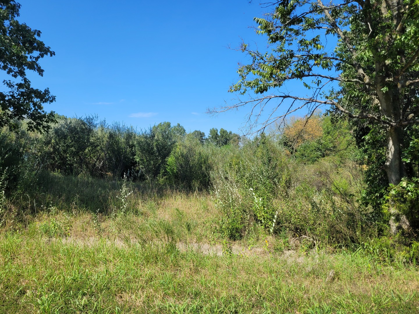 0000 E Bunny Farm Road Property Photo 3