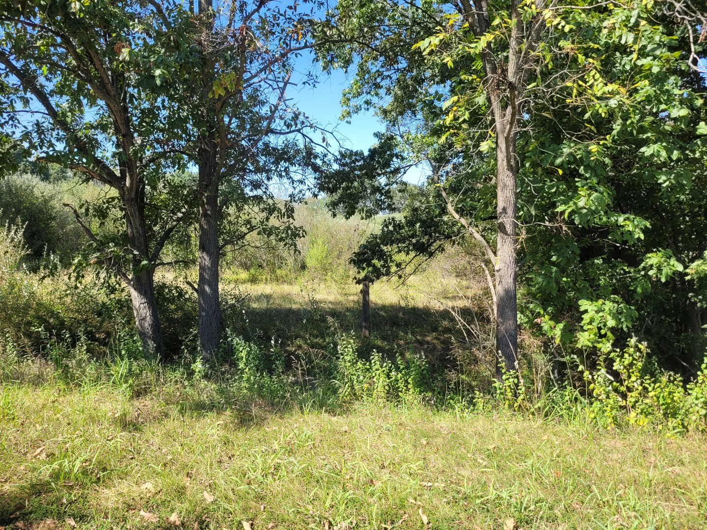 0000 E Bunny Farm Road Property Photo 4