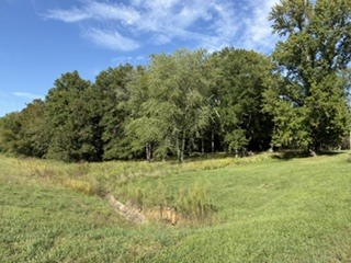 400 S Mayor Caliper Drive Property Photo 1