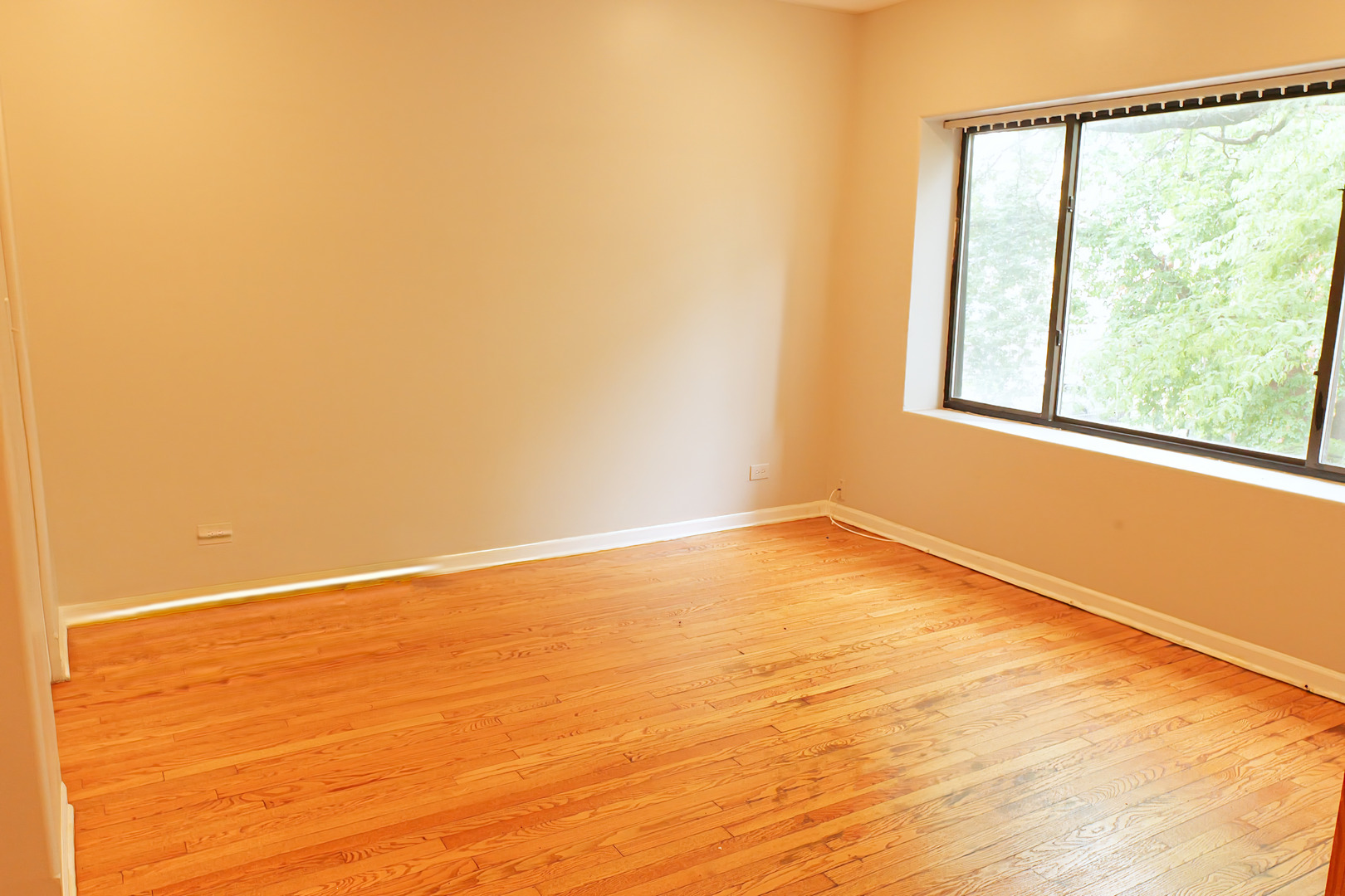 7753 S Essex Avenue 2s Property Photo 6