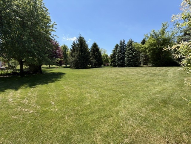 8207 Red Bark Lane Property Photo 40