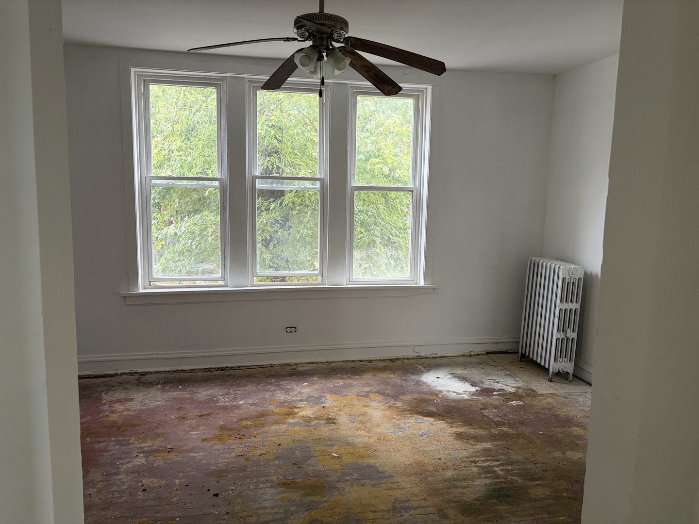 7358 S Michigan Avenue Property Photo 5