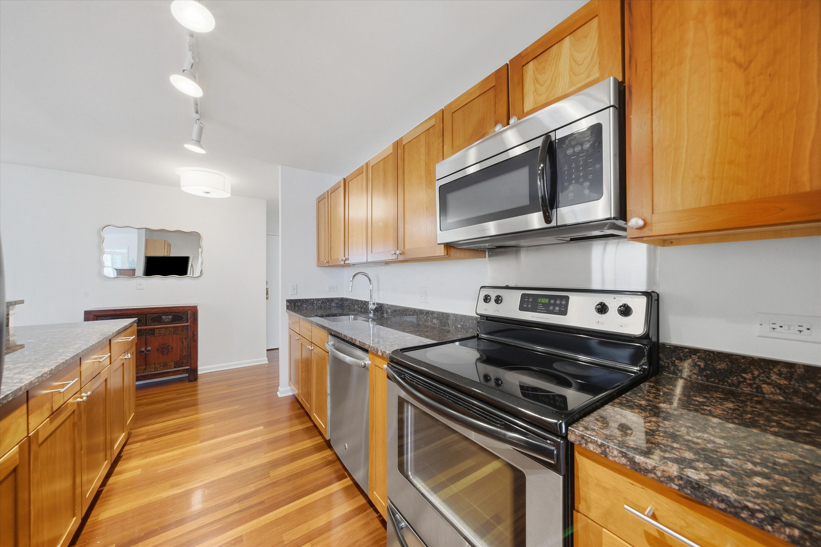 222 E Pearson Street 1901 Property Photo 3