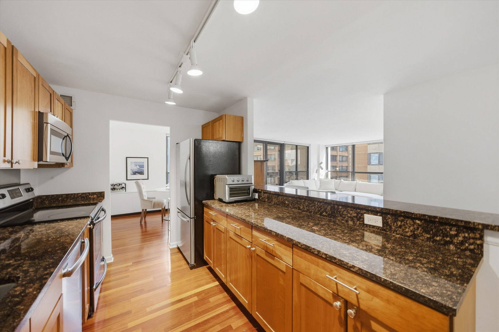 222 E Pearson Street 1901 Property Photo 4