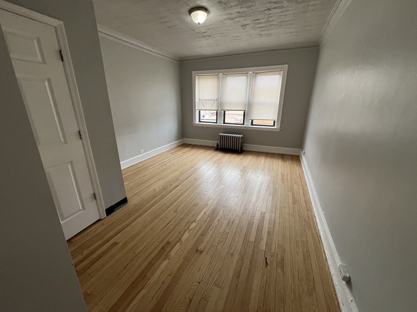 1441 W 93rd Street 2 Property Photo 4