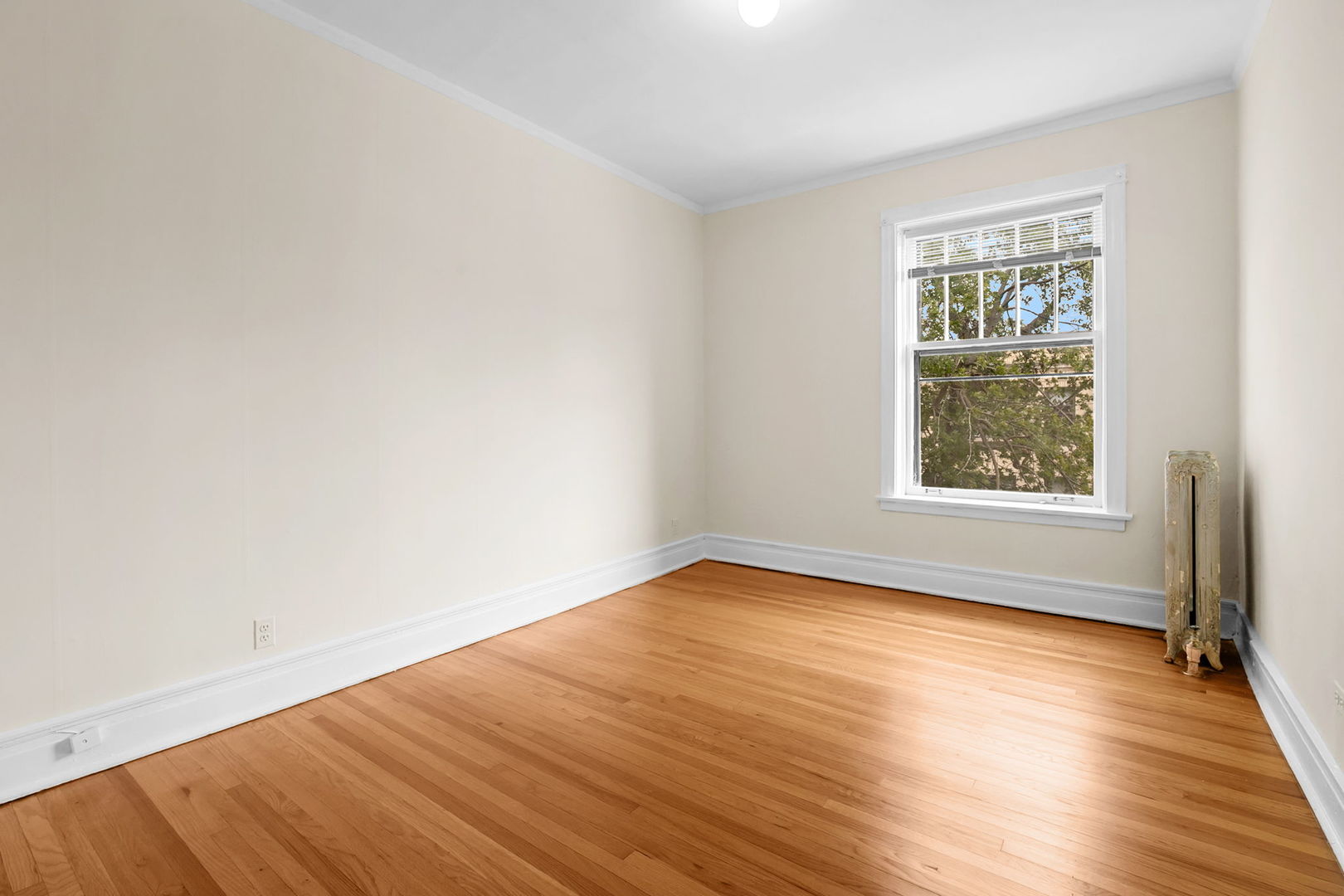 1330 W Birchwood Avenue D Property Photo 23