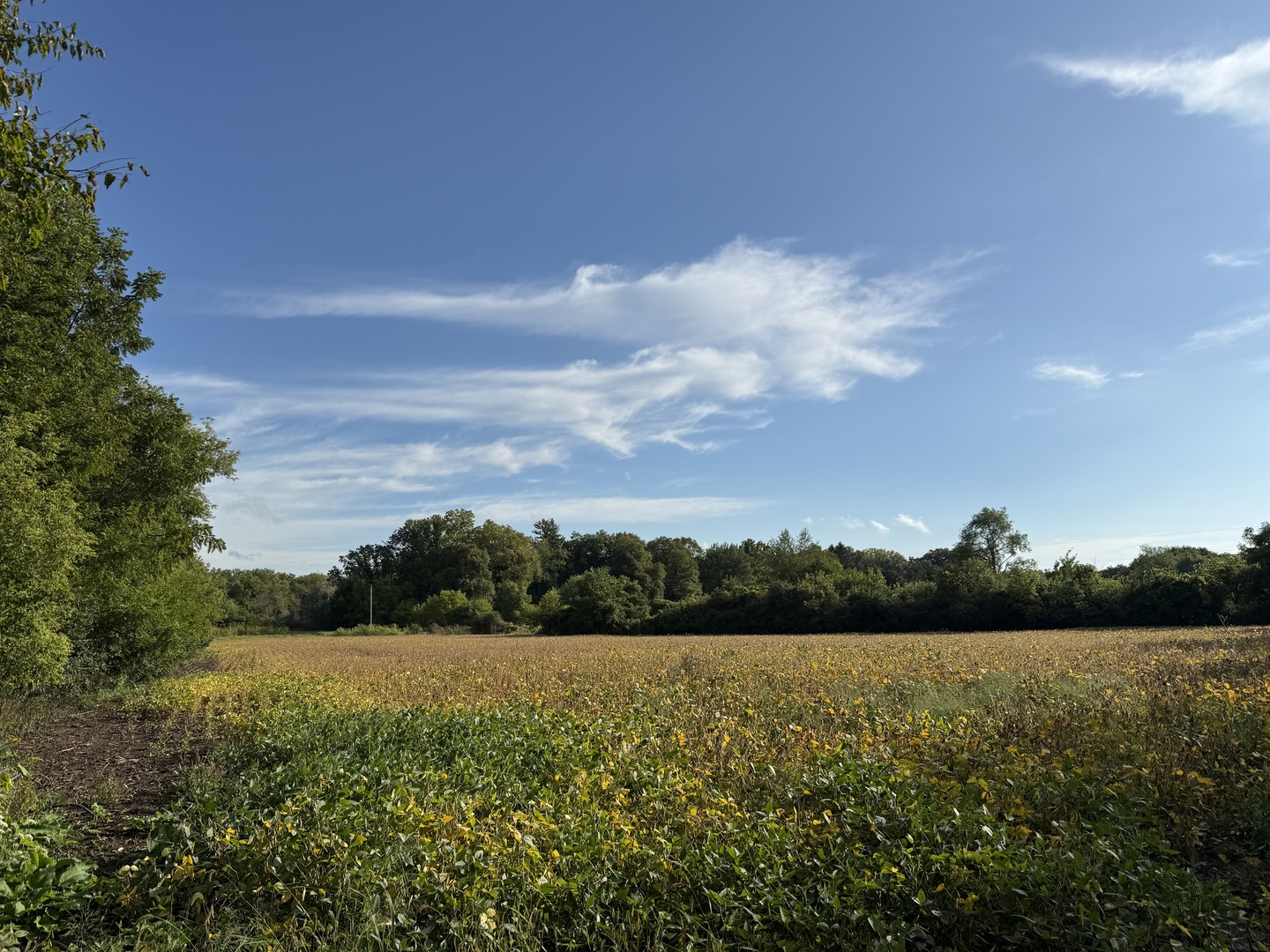 0 Route 47 Property Photo 15