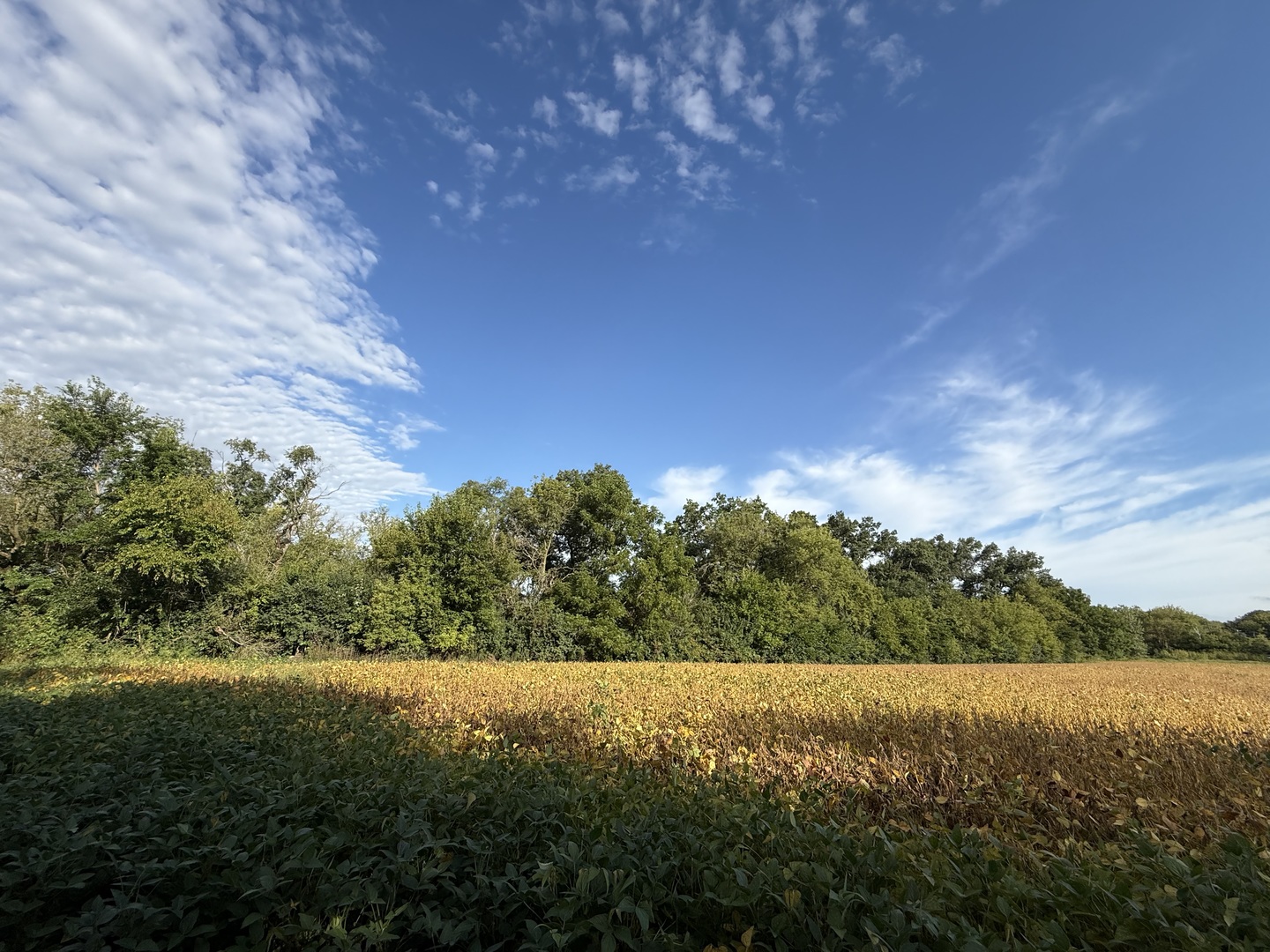 0 Route 47 Property Photo 18