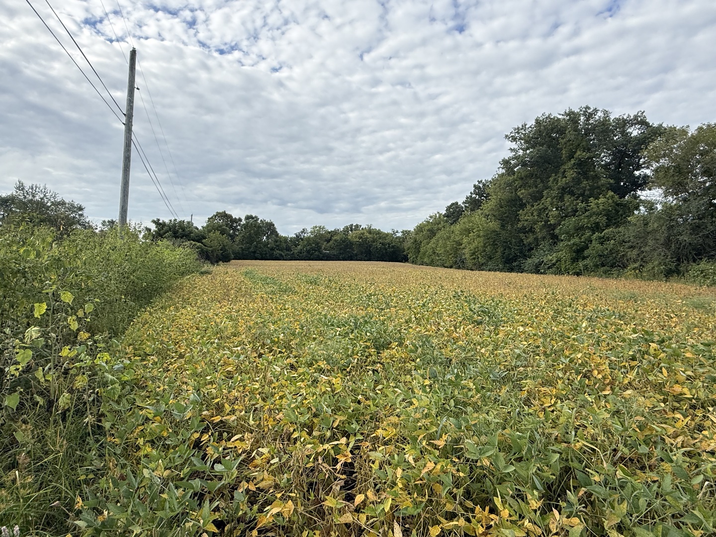 0 Route 47 Property Photo 21
