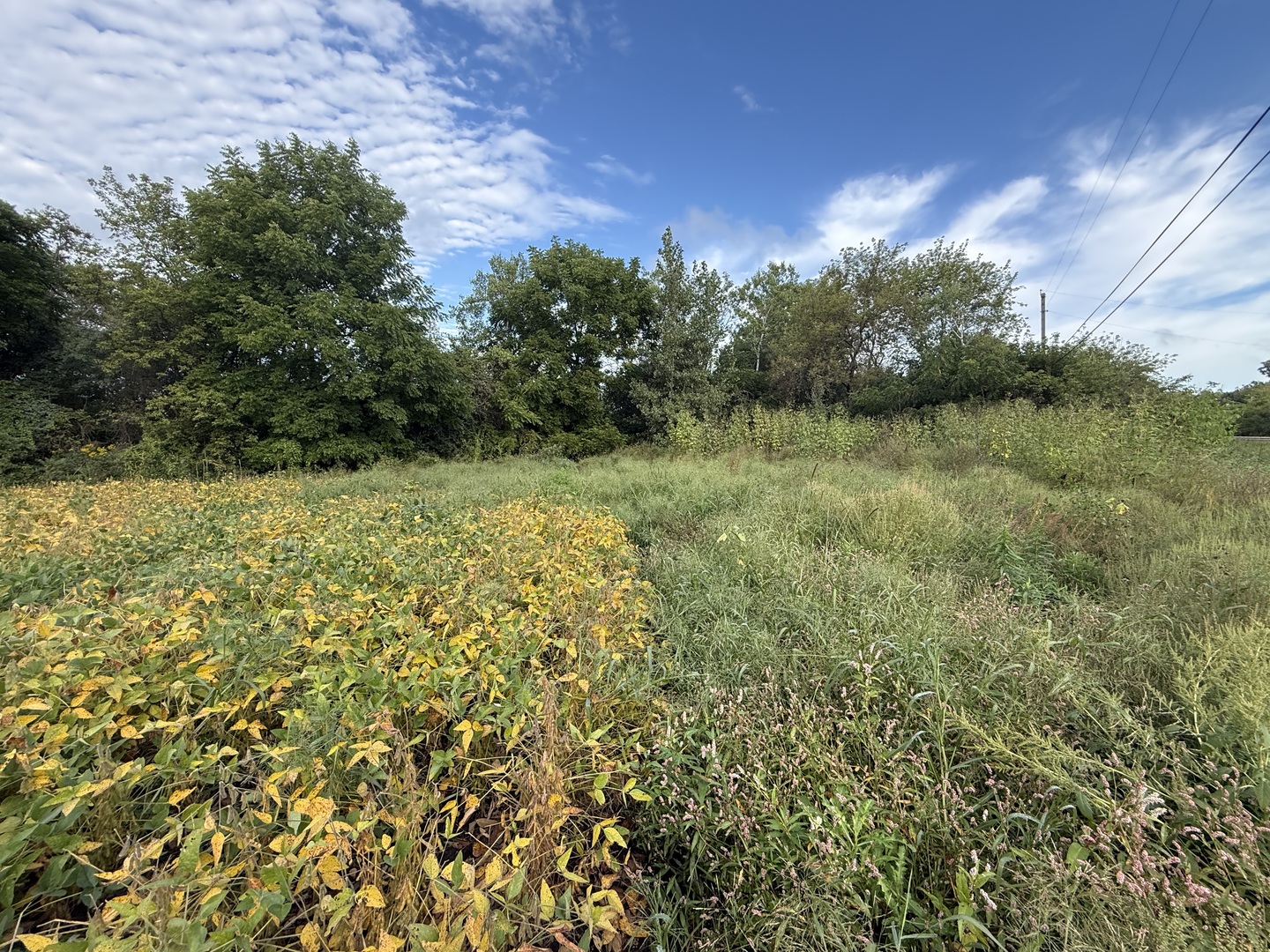 0 Route 47 Property Photo 22