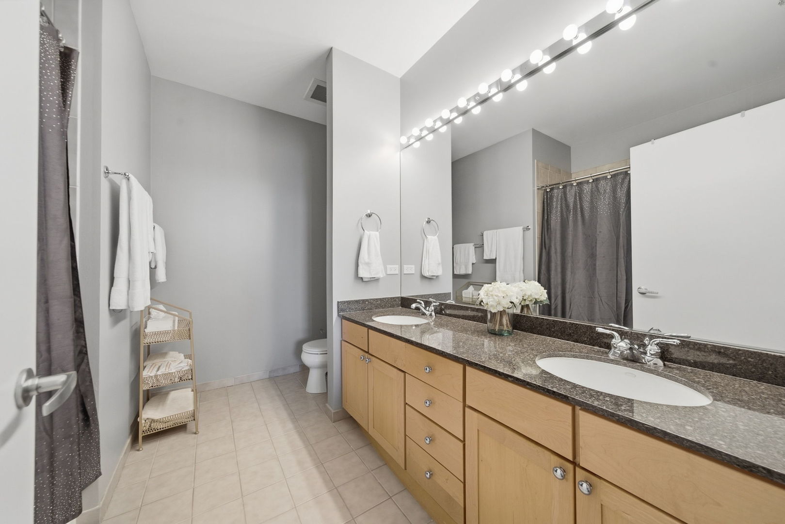 720 N Larrabee Street 1509 Property Photo 11