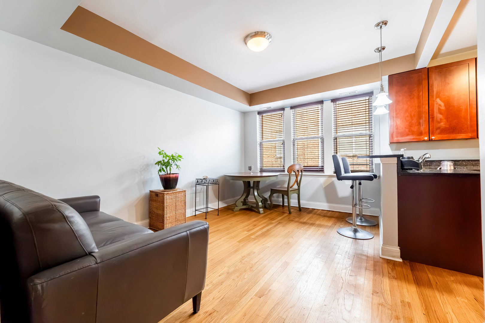 1120 Washington Boulevard 3b Property Photo 6