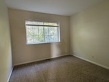 184 Southwicke Drive Property Photo 12