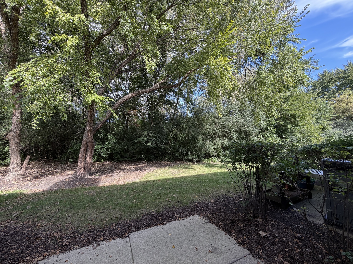 1691 Haines Drive Property Photo 19