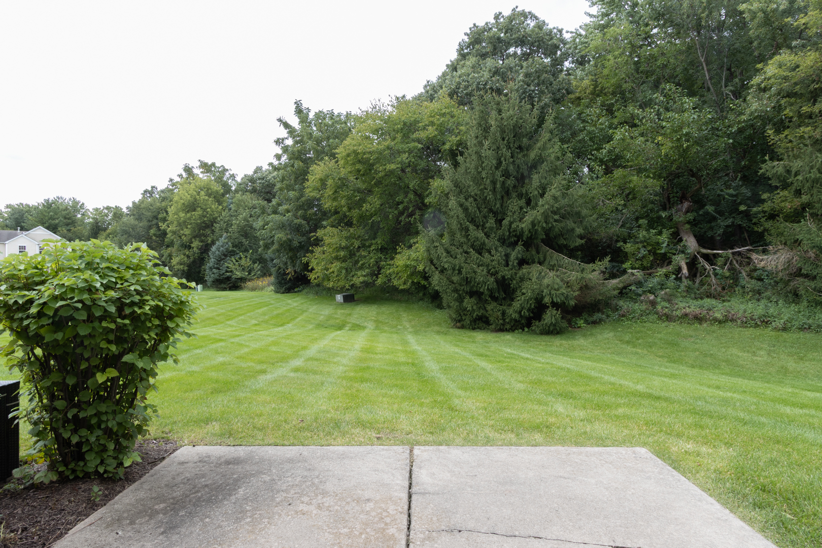 2534 Evergreen Circle Property Photo 22