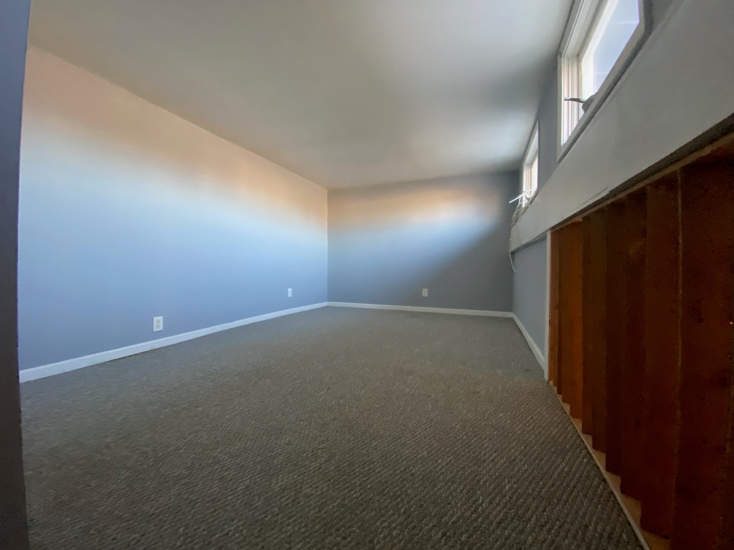11 Nicholson Street Property Photo 7