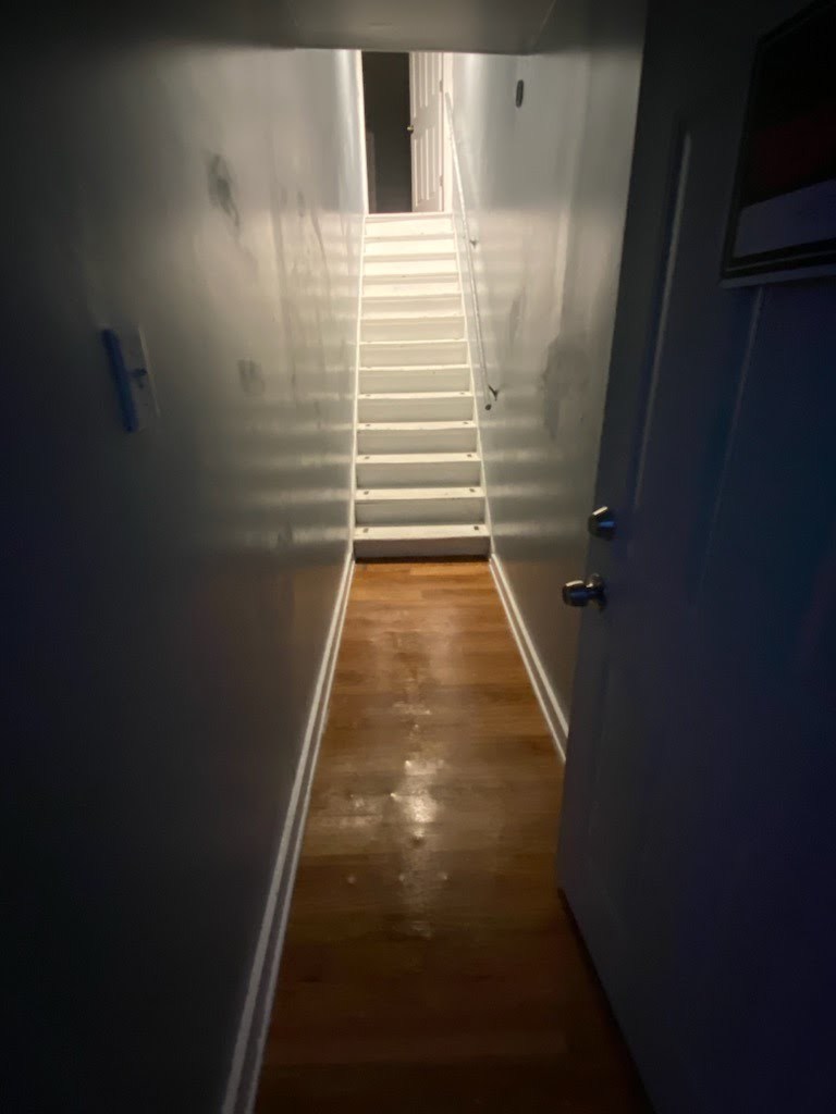 11 Nicholson Street Property Photo 11