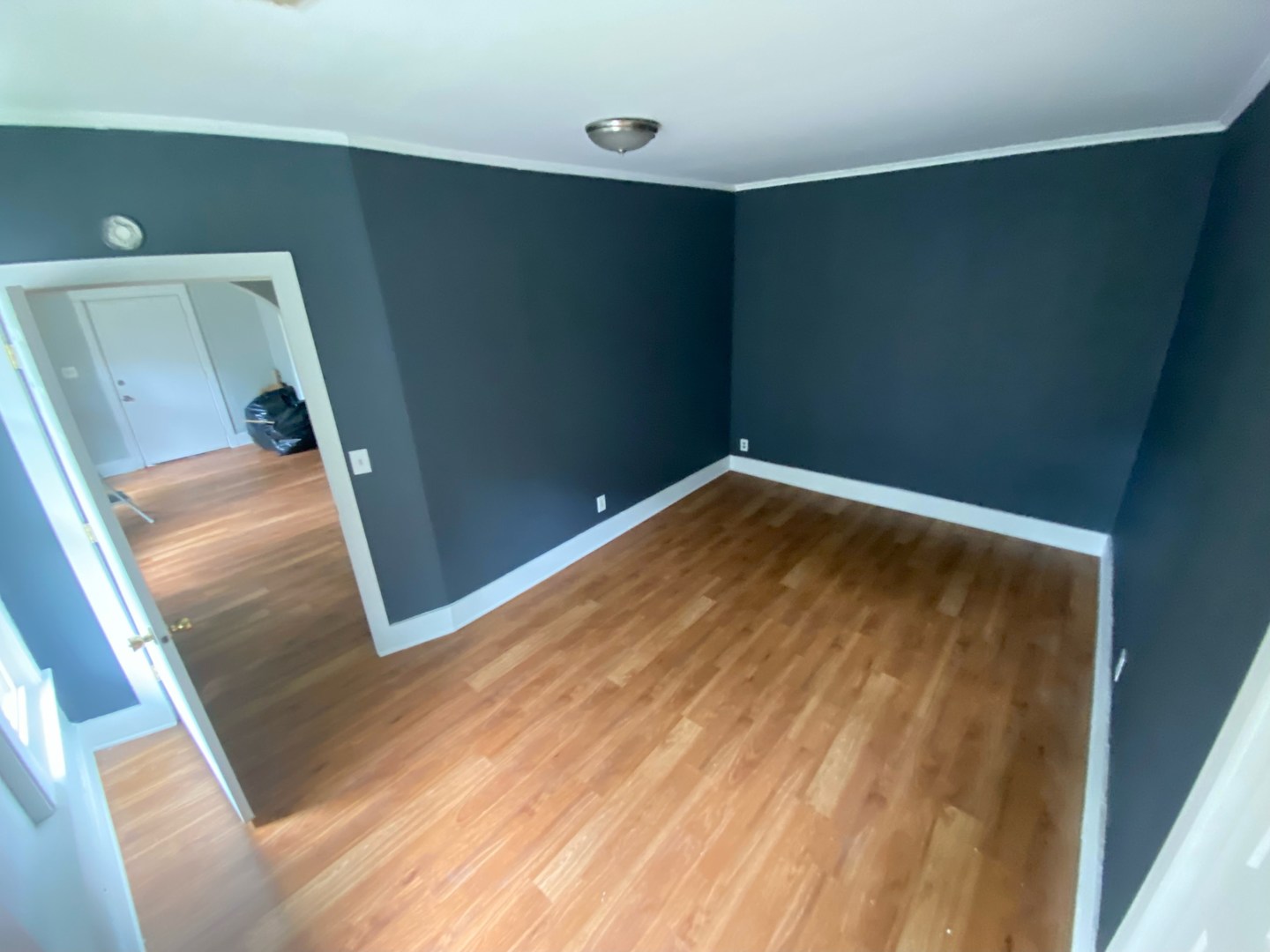 11 Nicholson Street Property Photo 19