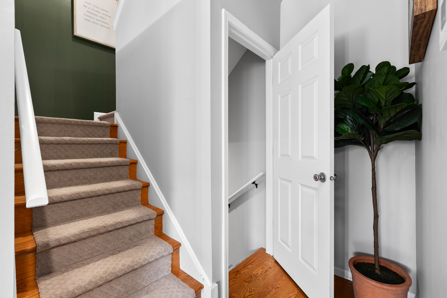 43 N Palazzo Drive Property Photo 15