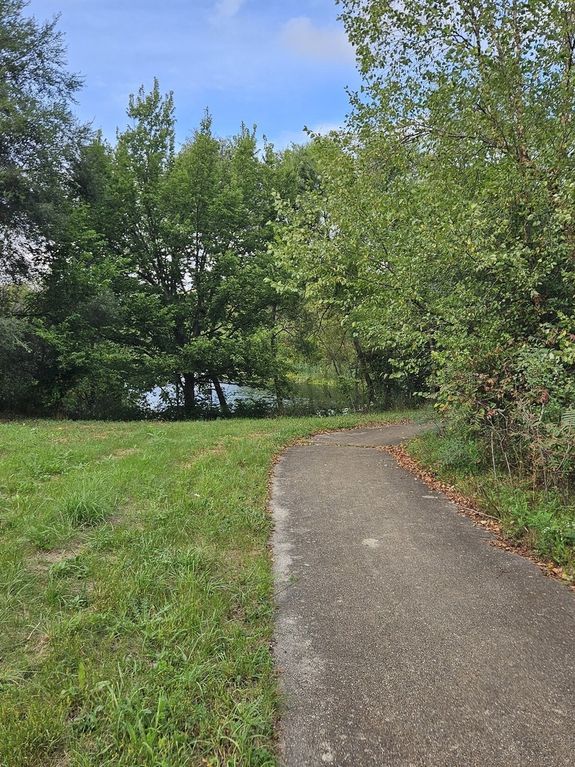 1641 Deer Pointe Drive Property Photo 19
