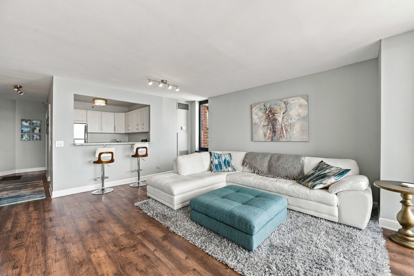 3660 N Lake Shore Drive 4110 Property Photo 8