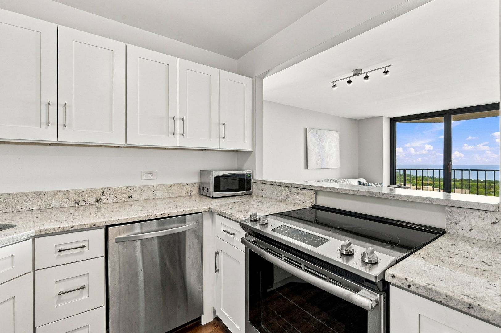 3660 N Lake Shore Drive 4110 Property Photo 11