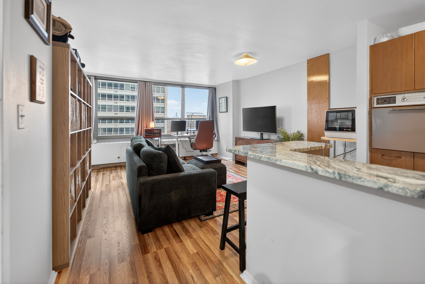 3550 N Lake Shore Drive 1925 Property Photo 4