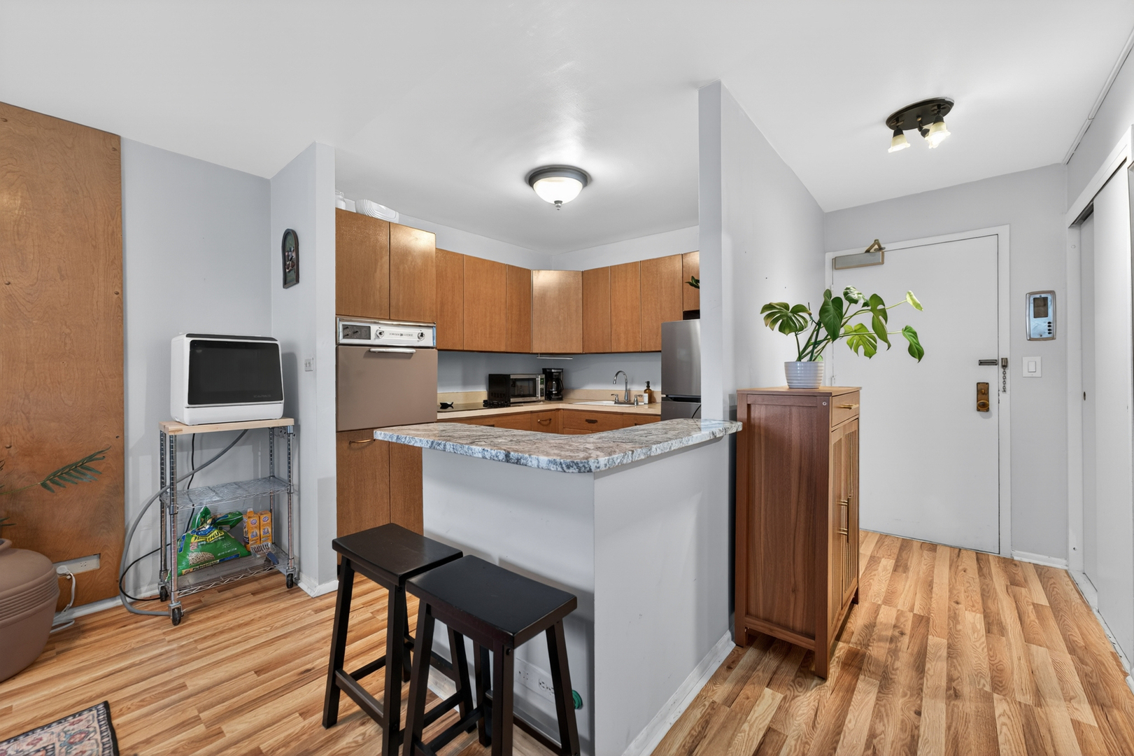 3550 N Lake Shore Drive 1925 Property Photo 8