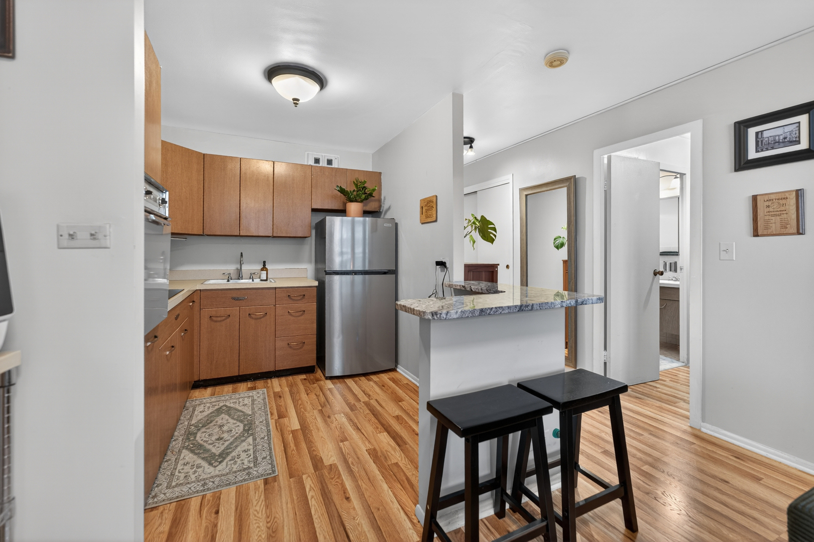 3550 N Lake Shore Drive 1925 Property Photo 9