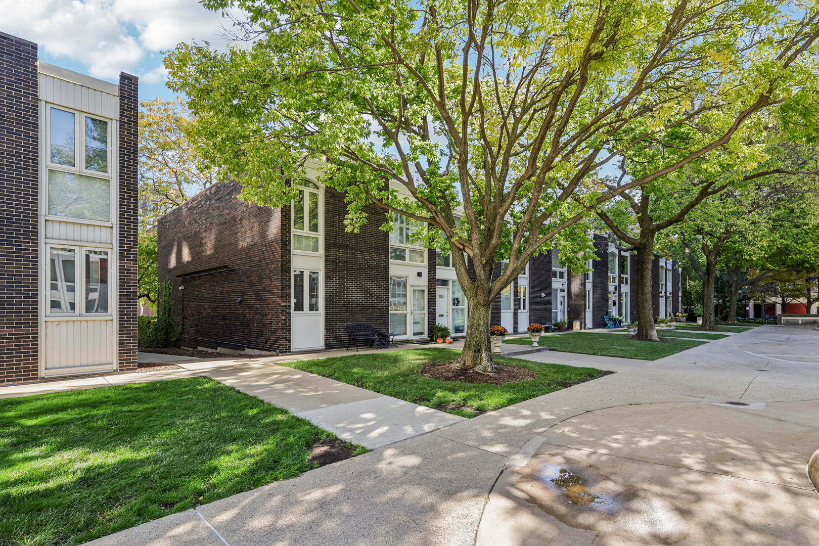 1319 N Sandburg Terrace Property Photo 1