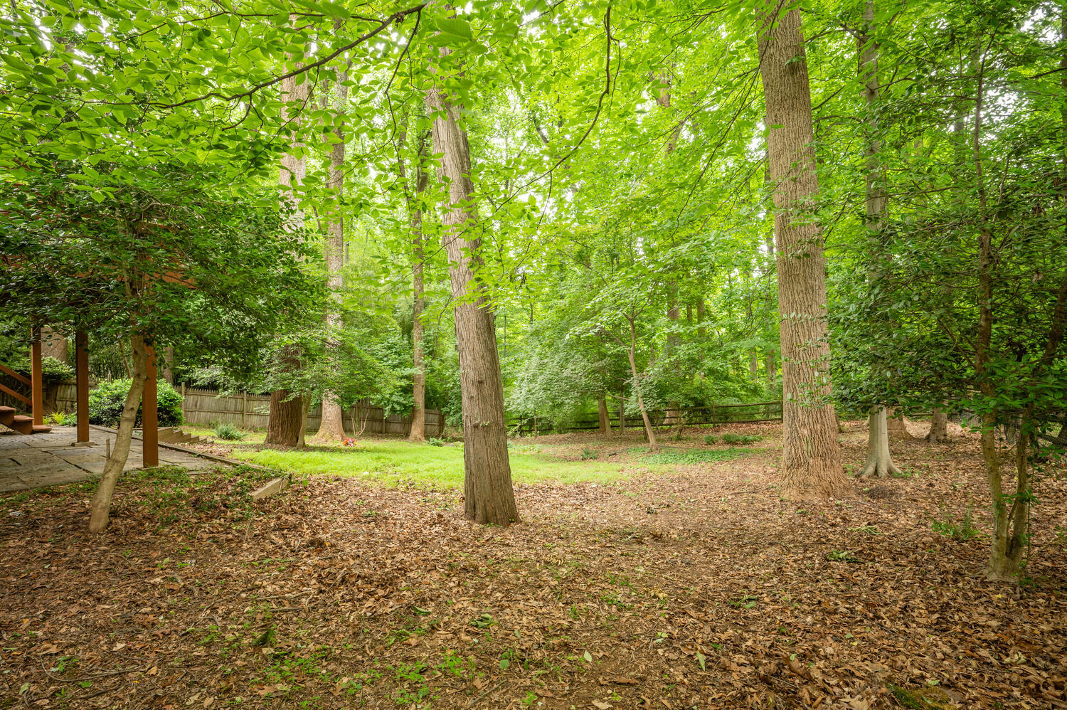 8313 Still Spring Court Property Photo 29