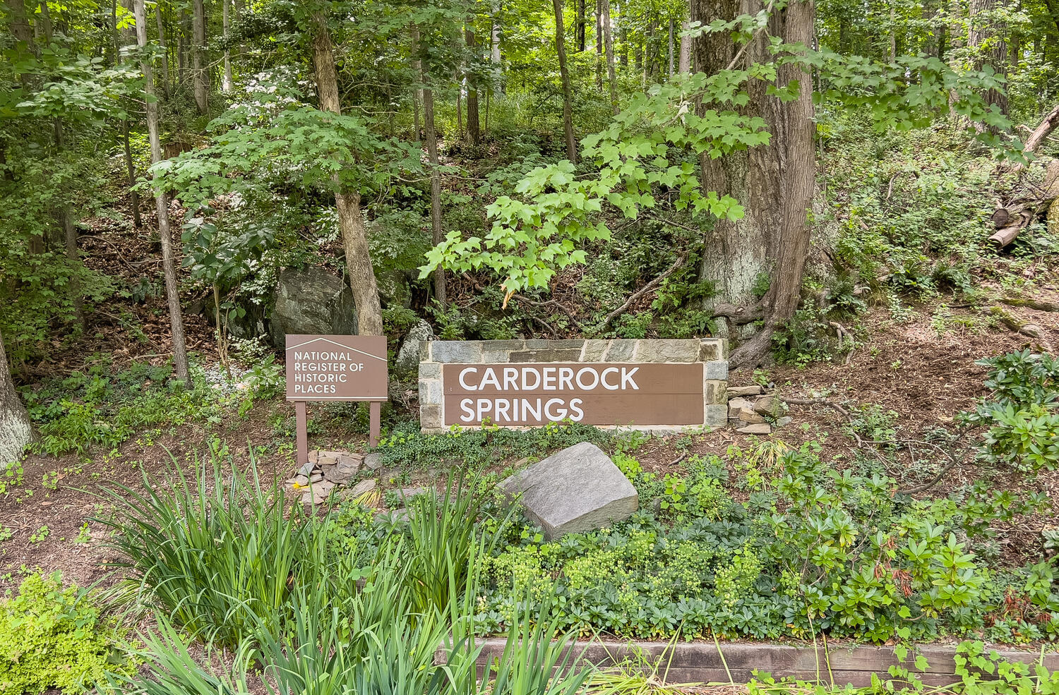 8313 Still Spring Court Property Photo 32