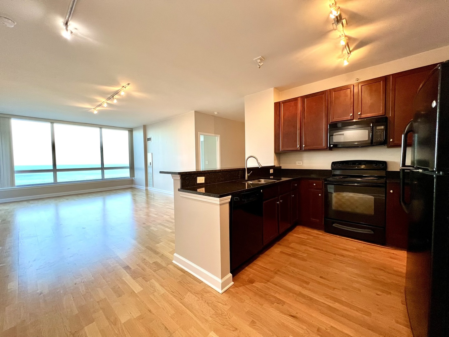 1901 S Calumet Avenue 2602 Property Photo 6