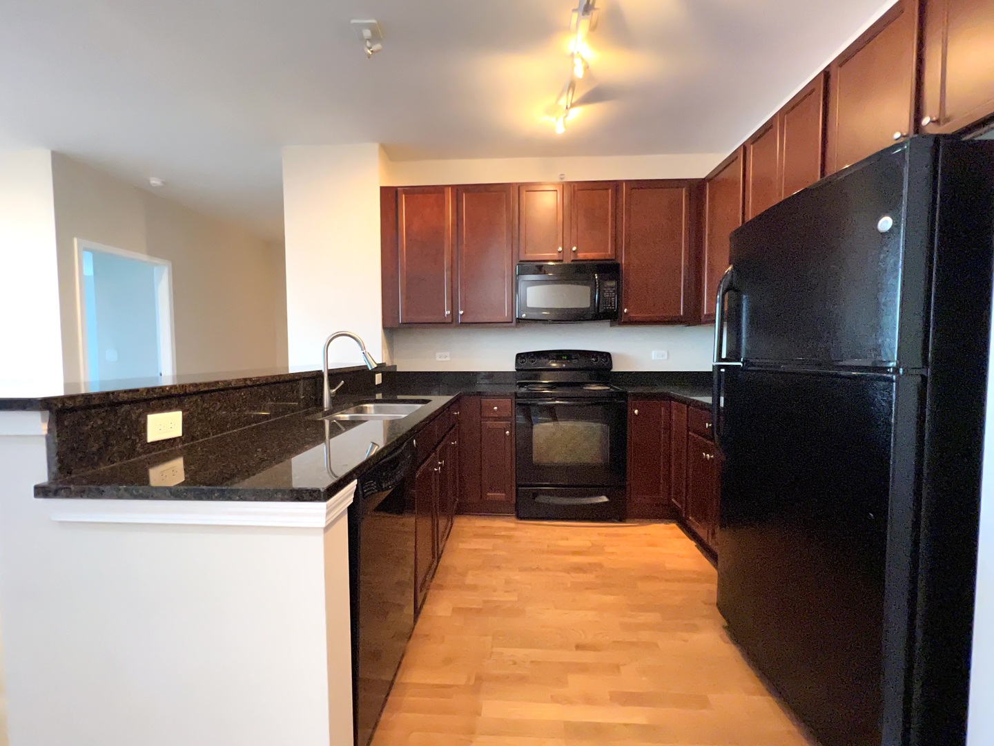 1901 S Calumet Avenue 2602 Property Photo 9
