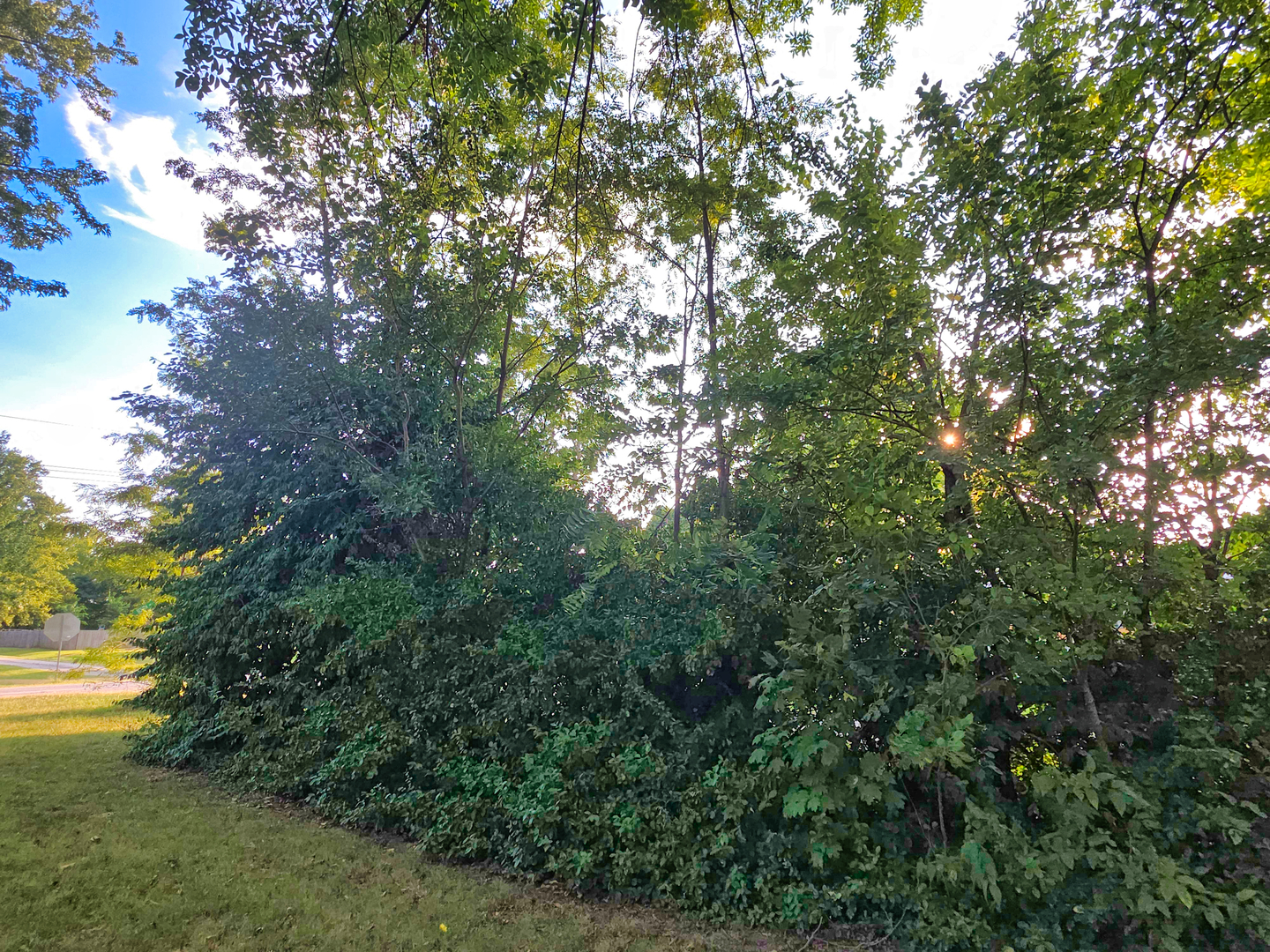 1401 Main Cross Street Property Photo 58
