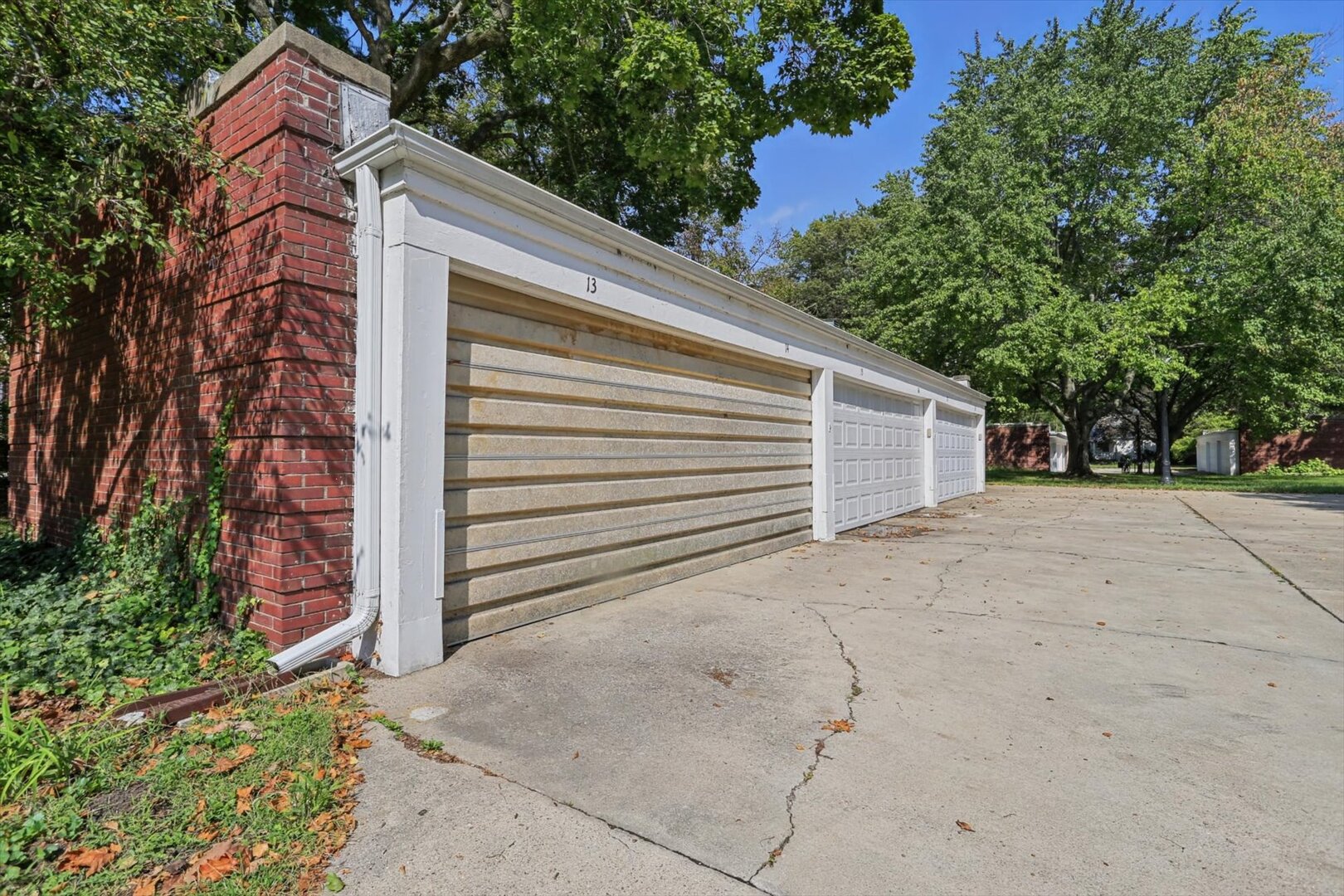 1510 S Race Street 4 Property Photo 5