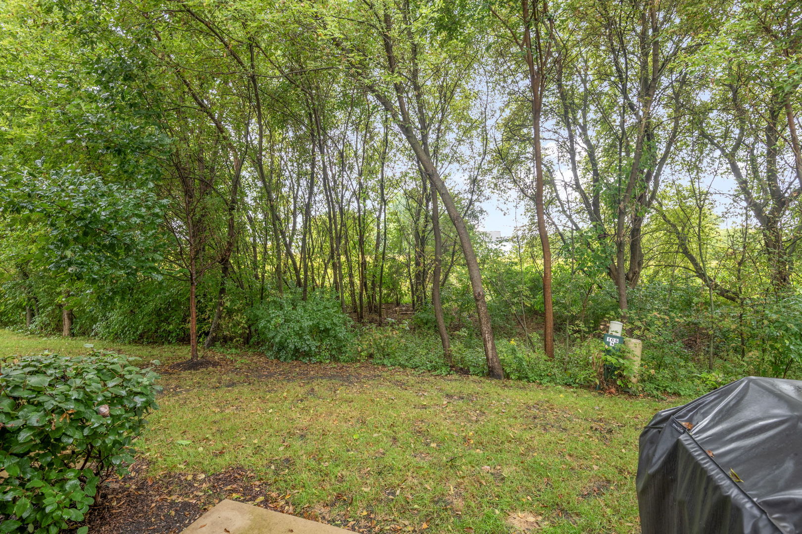 1009 Draper Road Property Photo 16