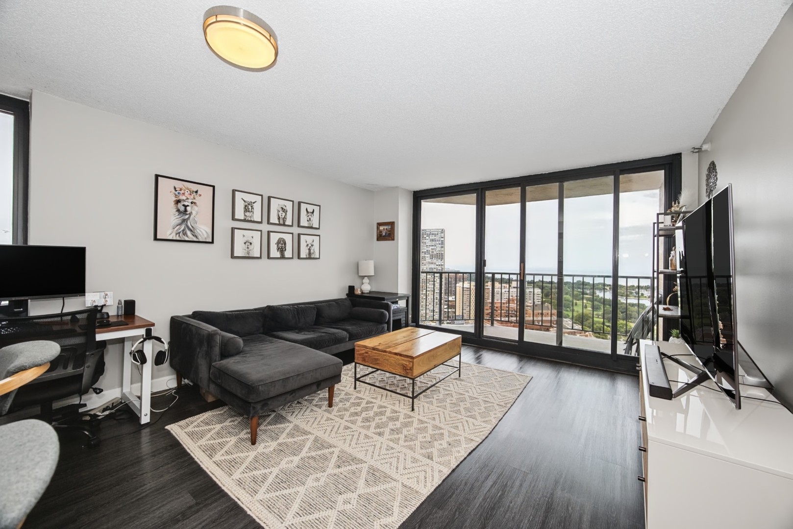 3660 N Lake Shore Drive 3504 Property Photo 4