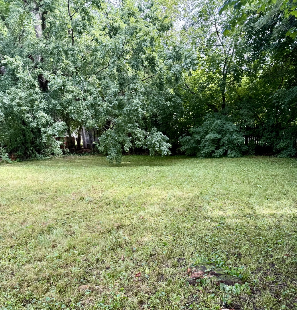 1n649 Main Street Property Photo 16