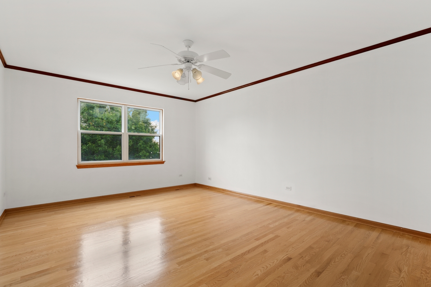 8542 Latrobe Avenue Property Photo 22