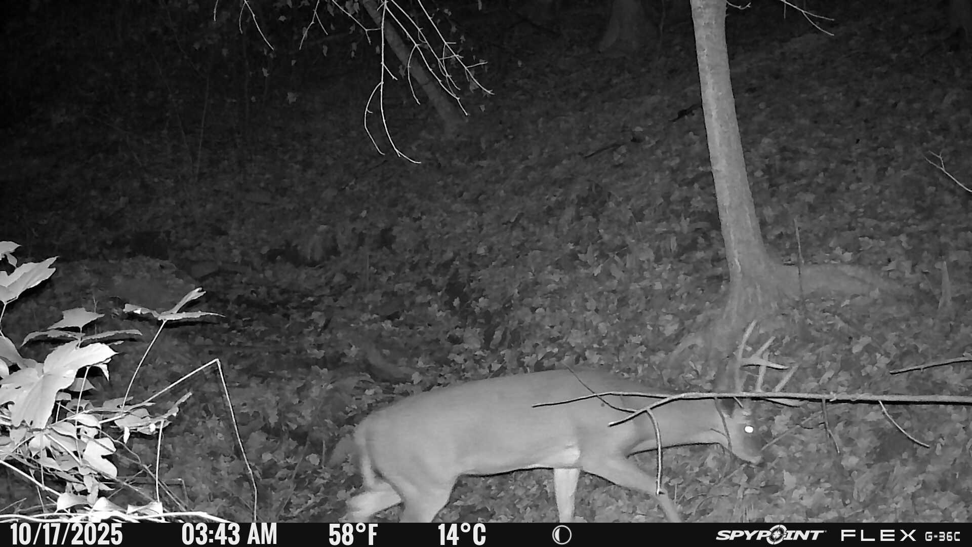 88 S Jungle Road Property Photo 30