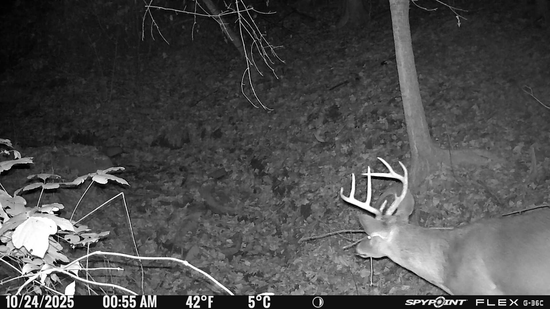 88 S Jungle Road Property Photo 31