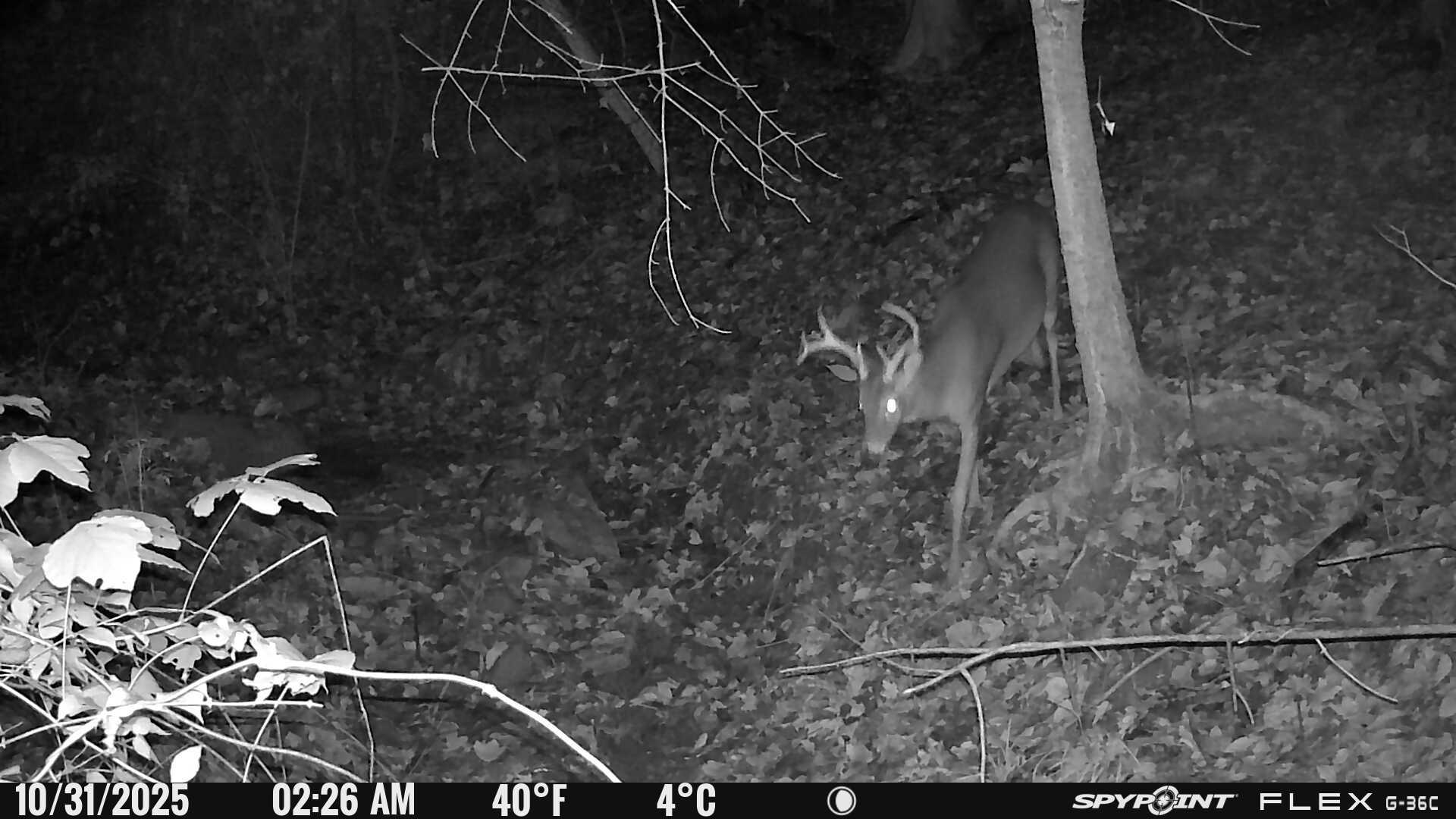 88 S Jungle Road Property Photo 32