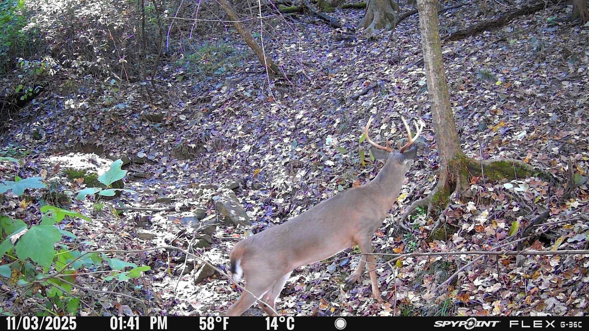 88 S Jungle Road Property Photo 33
