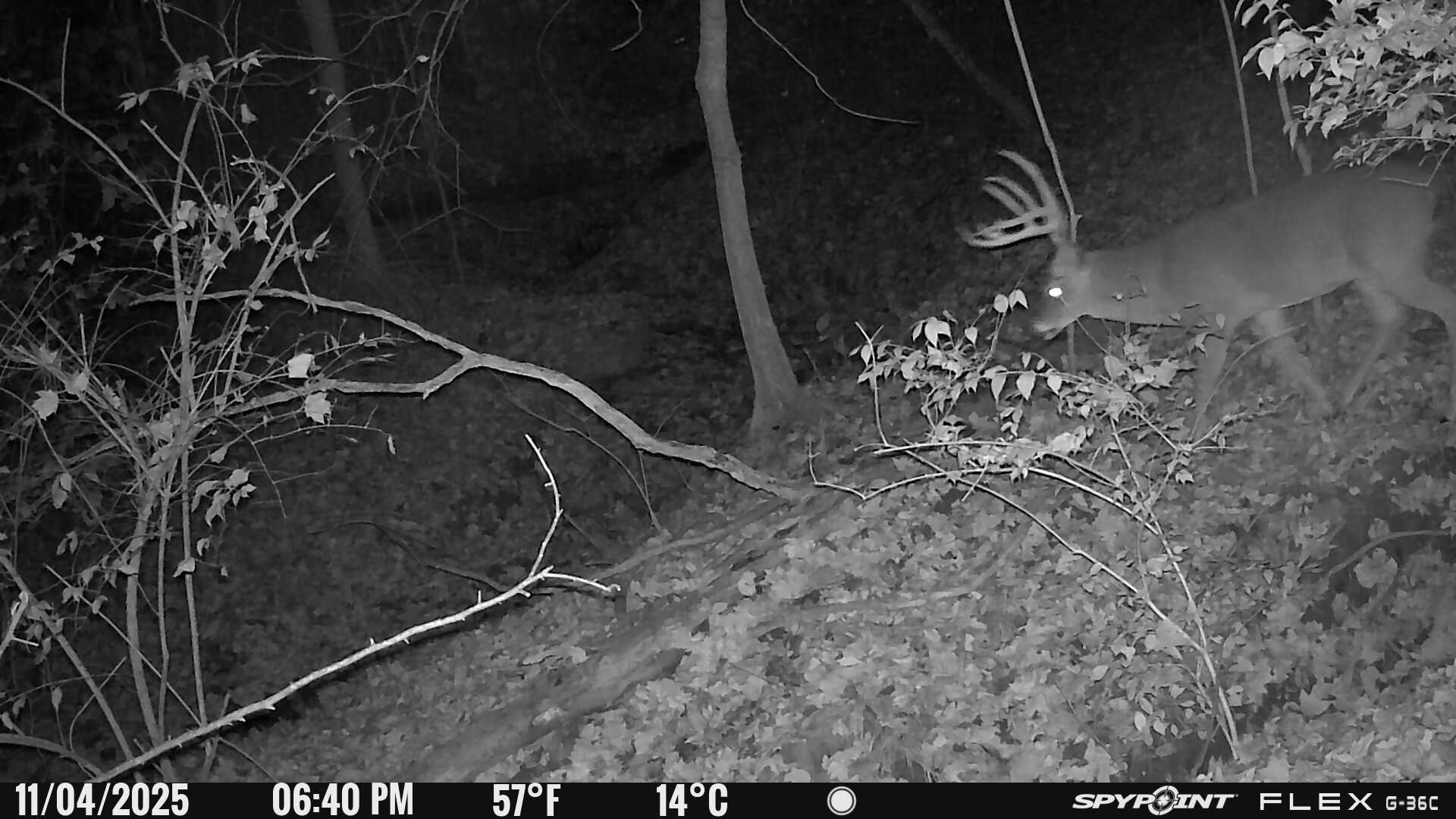 88 S Jungle Road Property Photo 35