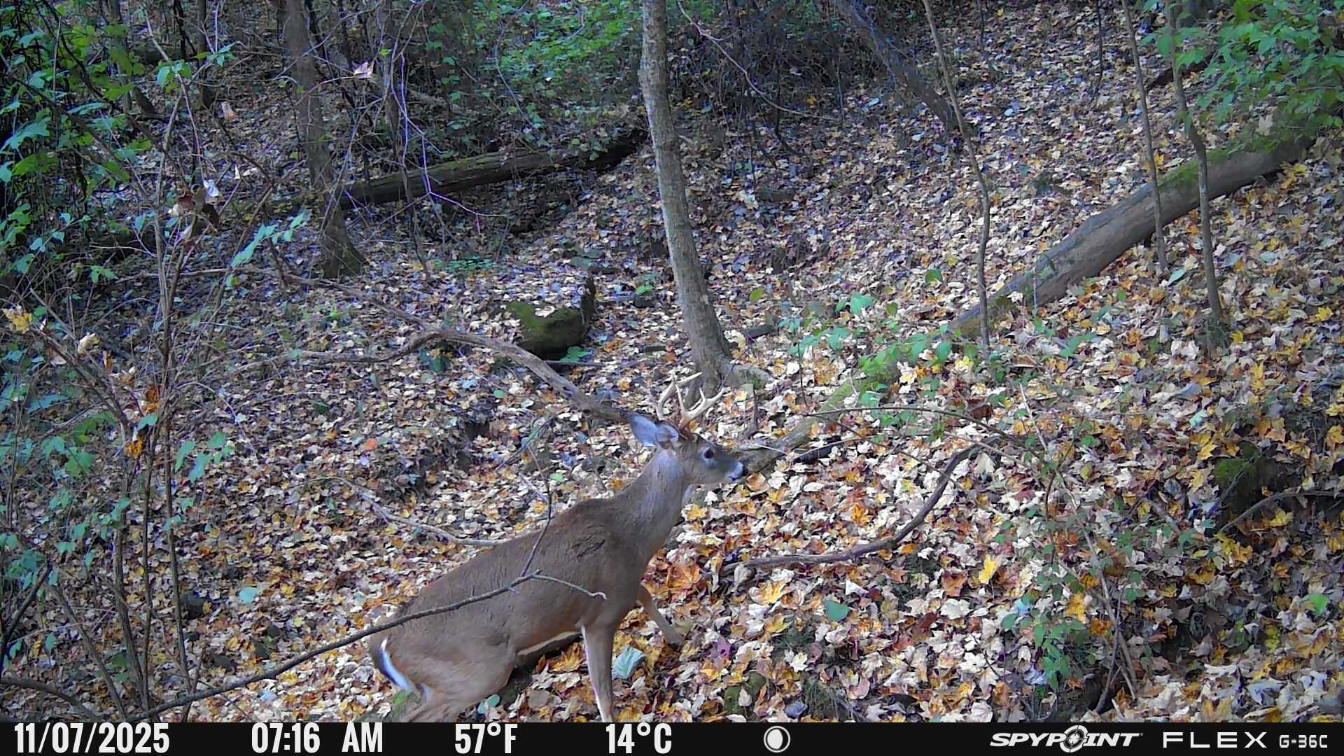 88 S Jungle Road Property Photo 36